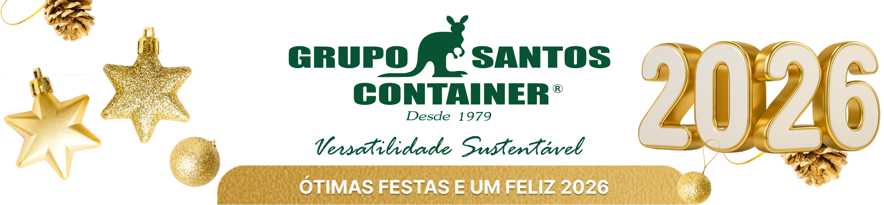 Grupo Santos Container
