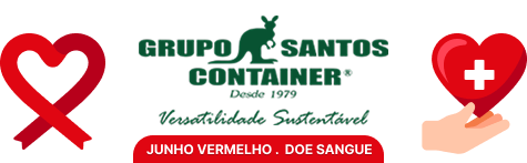 Grupo Santos Container